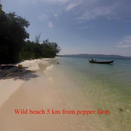 Pepper Farm Phu Quoc Bungalow Luaran gambar