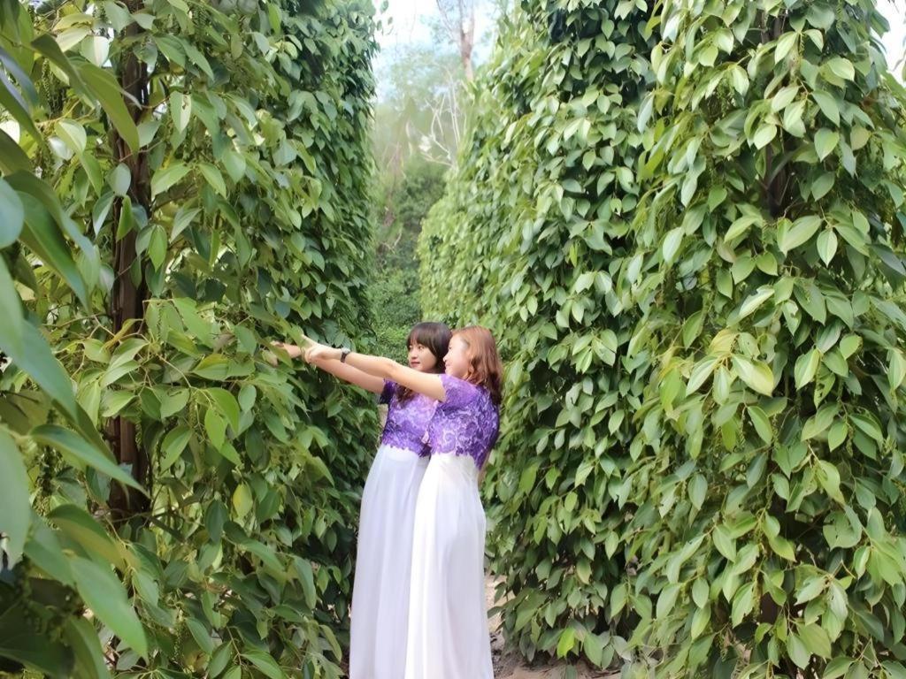 Pepper Farm Phu Quoc Bungalow Luaran gambar
