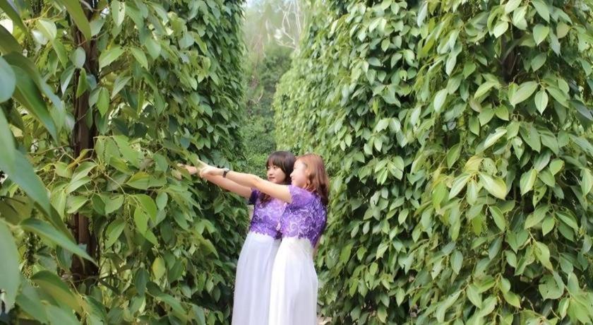 Pepper Farm Phu Quoc Bungalow Luaran gambar