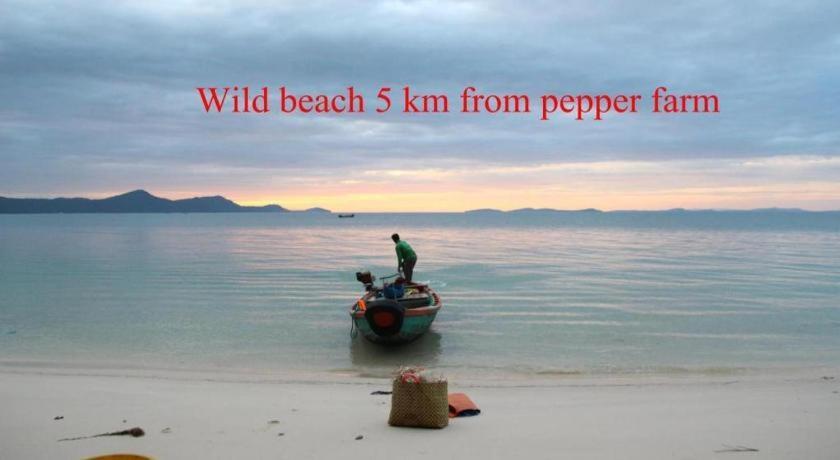 Pepper Farm Phu Quoc Bungalow Luaran gambar