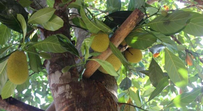 Pepper Farm Phu Quoc Bungalow Luaran gambar